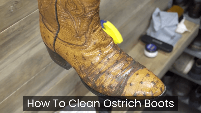 How To Clean Ostrich Boots